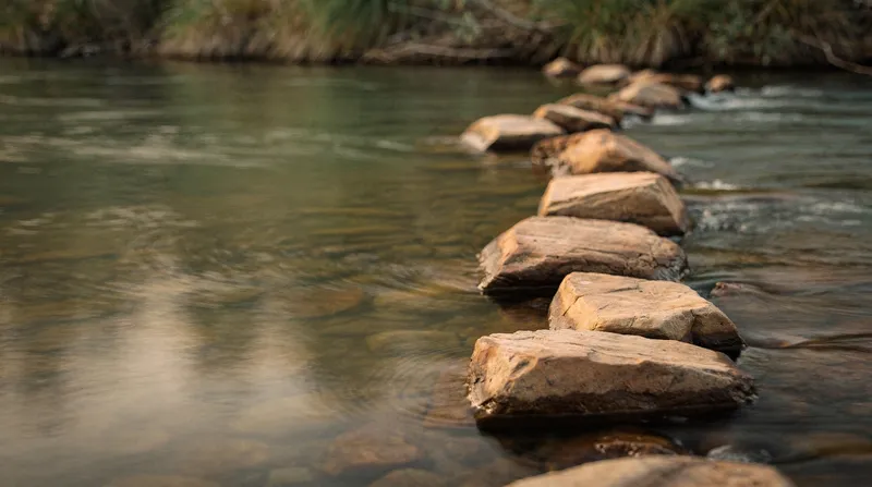 Stepping stones crossing a shallow creek